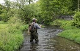 Penn's Creek Symphony - Image 3