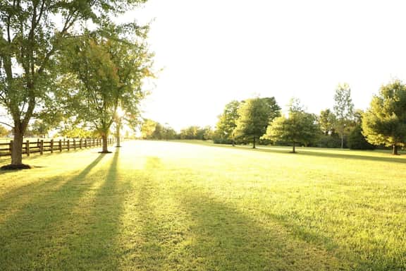 Maple Lawn - Image 2
