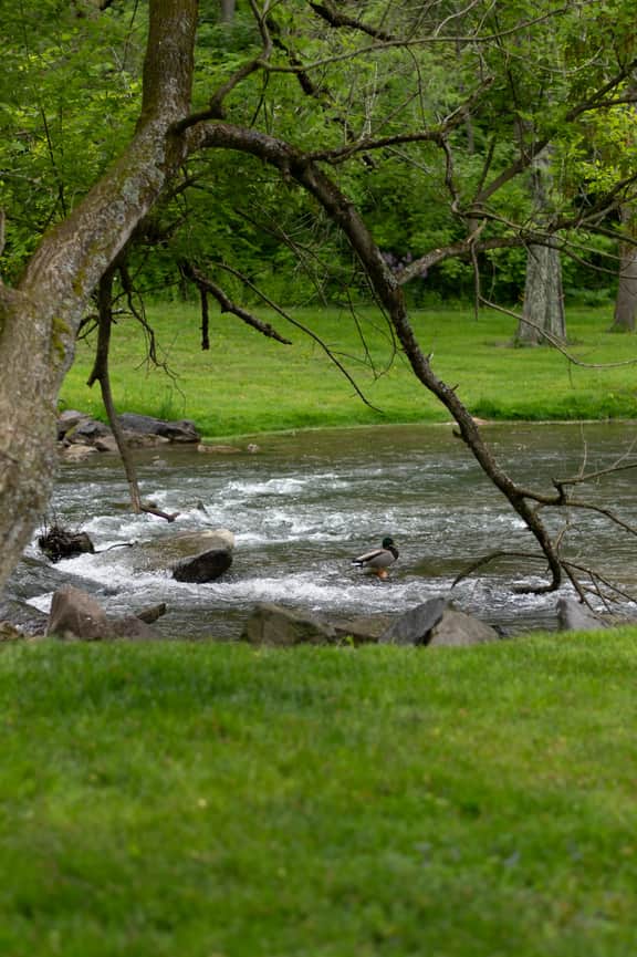 Creekside Hideaway Pavilion - Image 3
